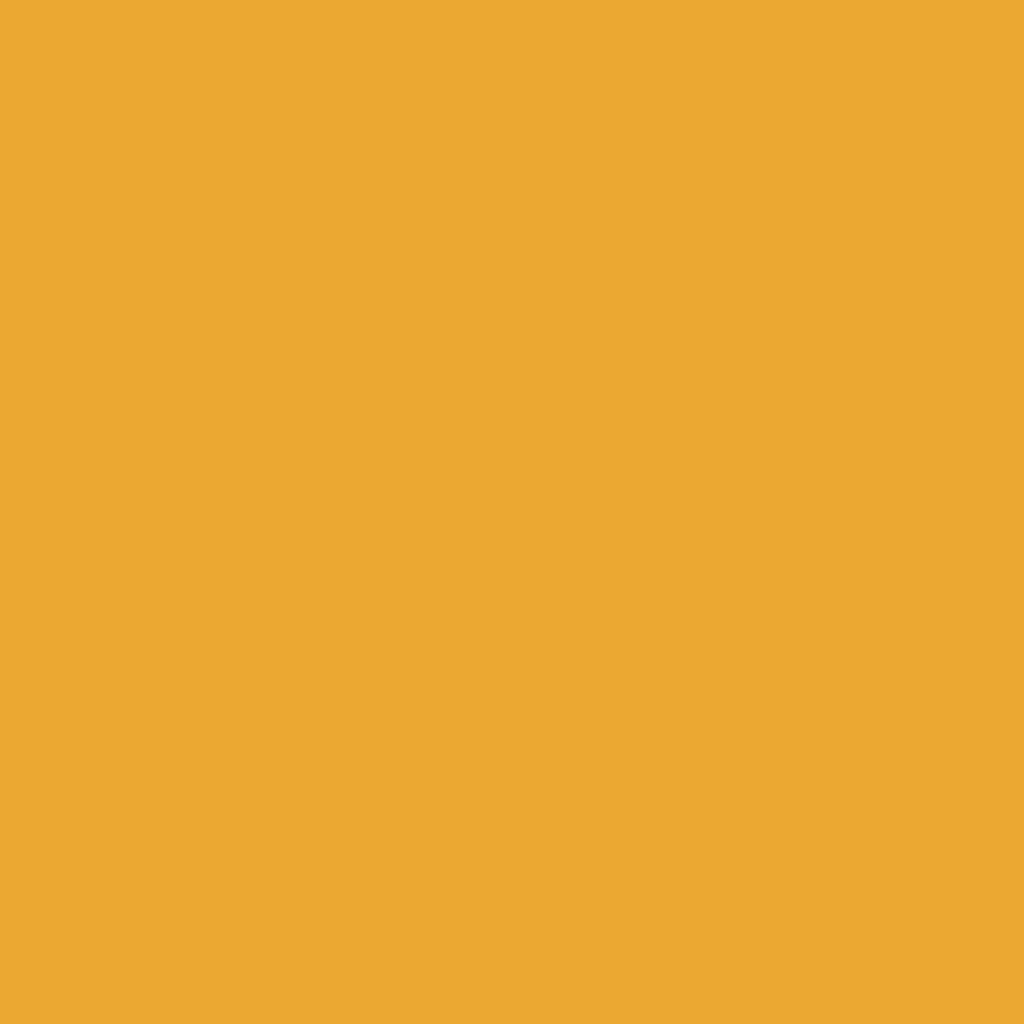 【AP STUDIO】SCENTOF Marigold color PTファッション